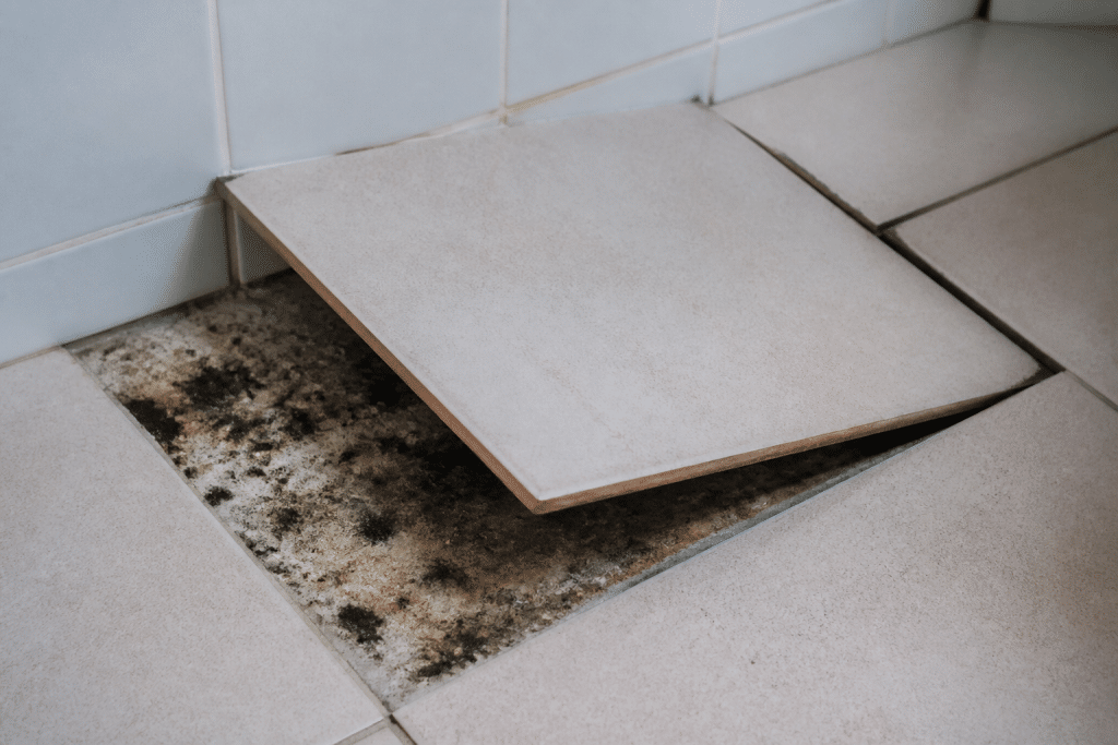 Carrelage humide décollé révélant moisissures sous surface