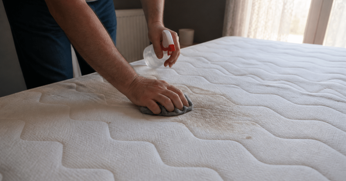 Personne nettoyant tache marron sur surface matelas blanc